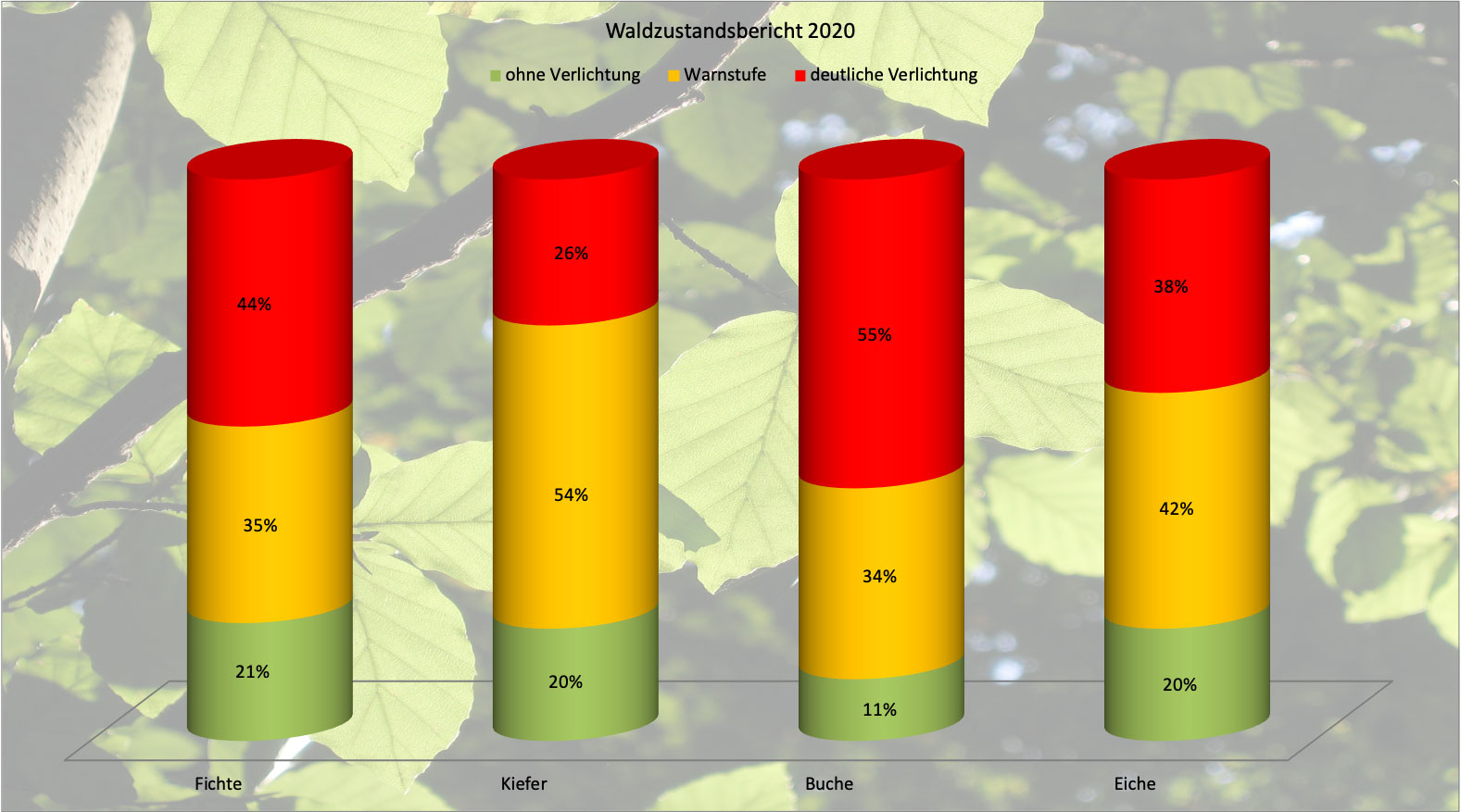 Waldzustandsbericht 2020 Deutschland