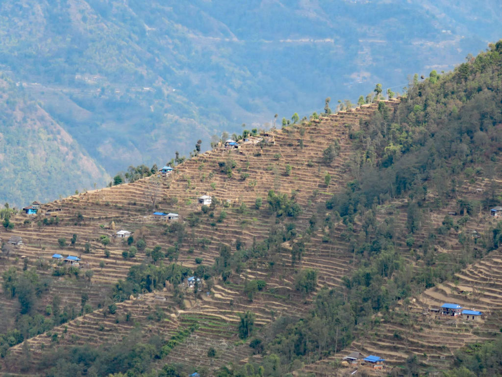 Jalapa Nepal - Wiederbewaldung degradierter Flächen